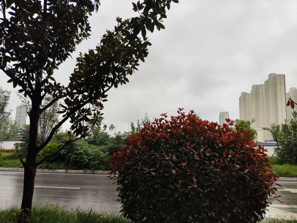 src, 多人携起手